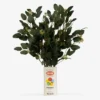 Krylon keramisk sprayburk